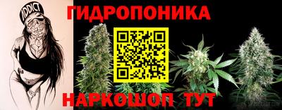 спиды Жуковский