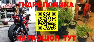 сатива Заволжье